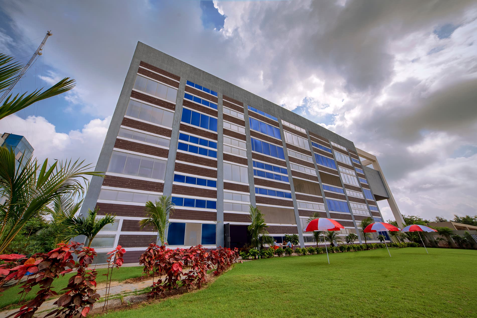 Brand Doodle Illustration